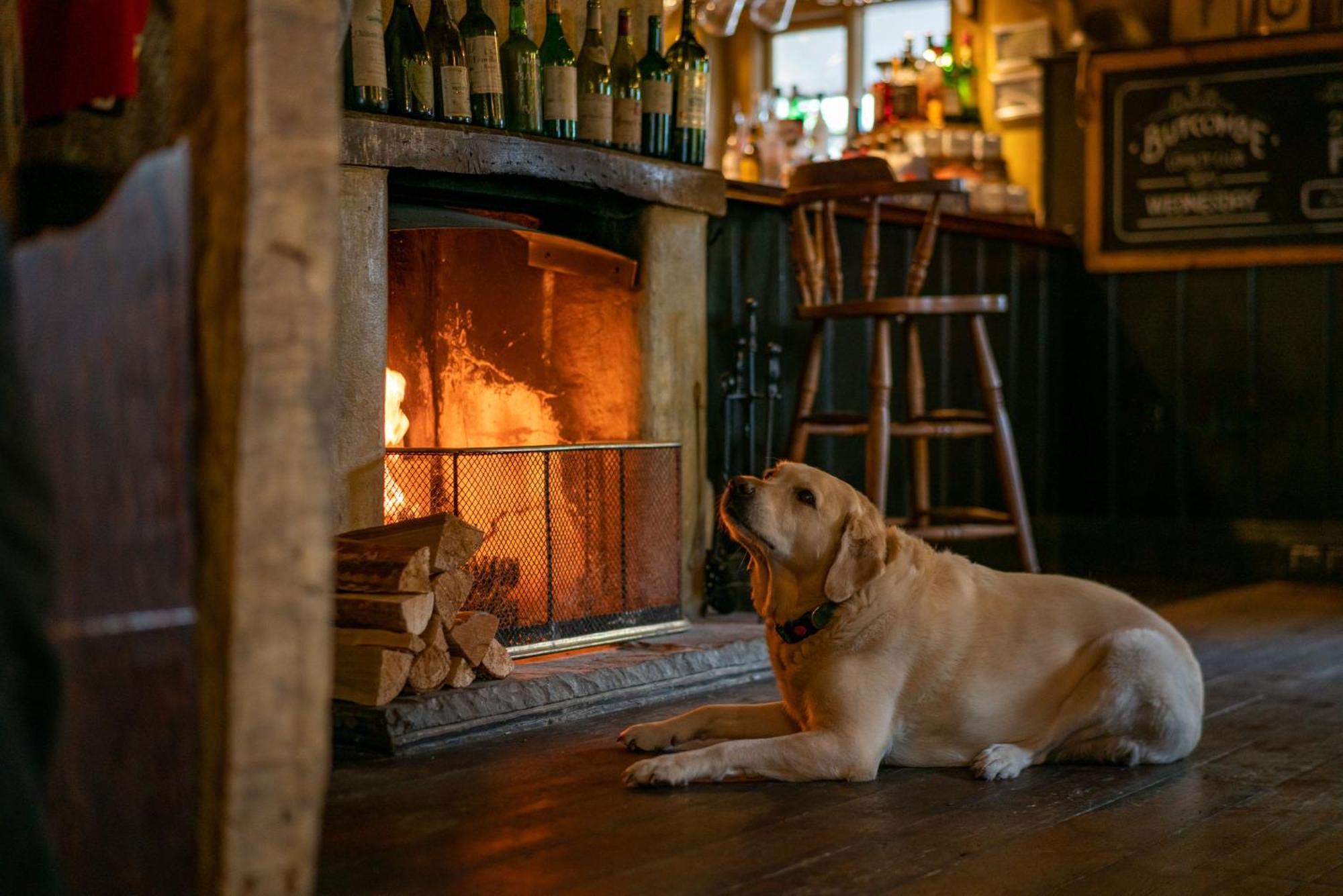 The Anchor Inn Lower Froyle Eksteriør billede